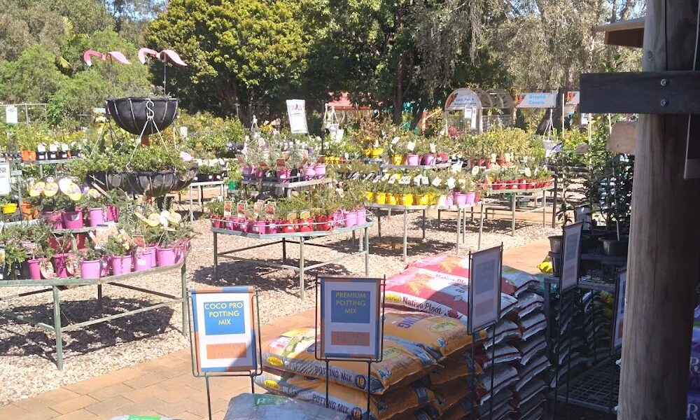 Lorikeet’s Coffee Shop